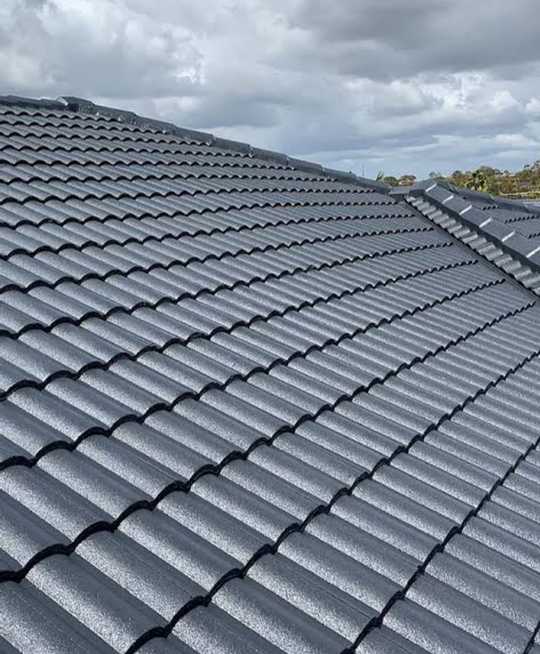 Gallery Christchurch Roof Painting